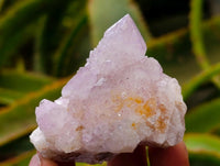 Natural Lilac Amethyst and Ametrine Spirit Clusters and Crystals x 12 From Boekenhouthoek, South Africa
