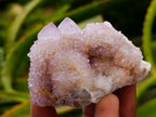 Natural Lilac Amethyst and Ametrine Spirit Clusters and Crystals x 12 From Boekenhouthoek, South Africa