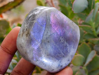 Polished Rare Purple Sunset Flash Labradorite Standing Free Forms x 12 From Tulear, Madagascar