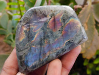 Polished Rare Purple Sunset Flash Labradorite Standing Free Forms x 12 From Tulear, Madagascar