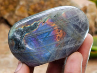Polished Rare Purple Sunset Flash Labradorite Standing Free Forms x 12 From Tulear, Madagascar