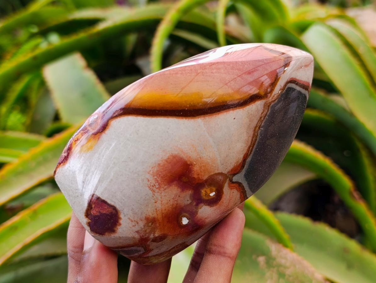 Polished Polychrome Jasper Flames x 6 From NW Coast, Madagascar