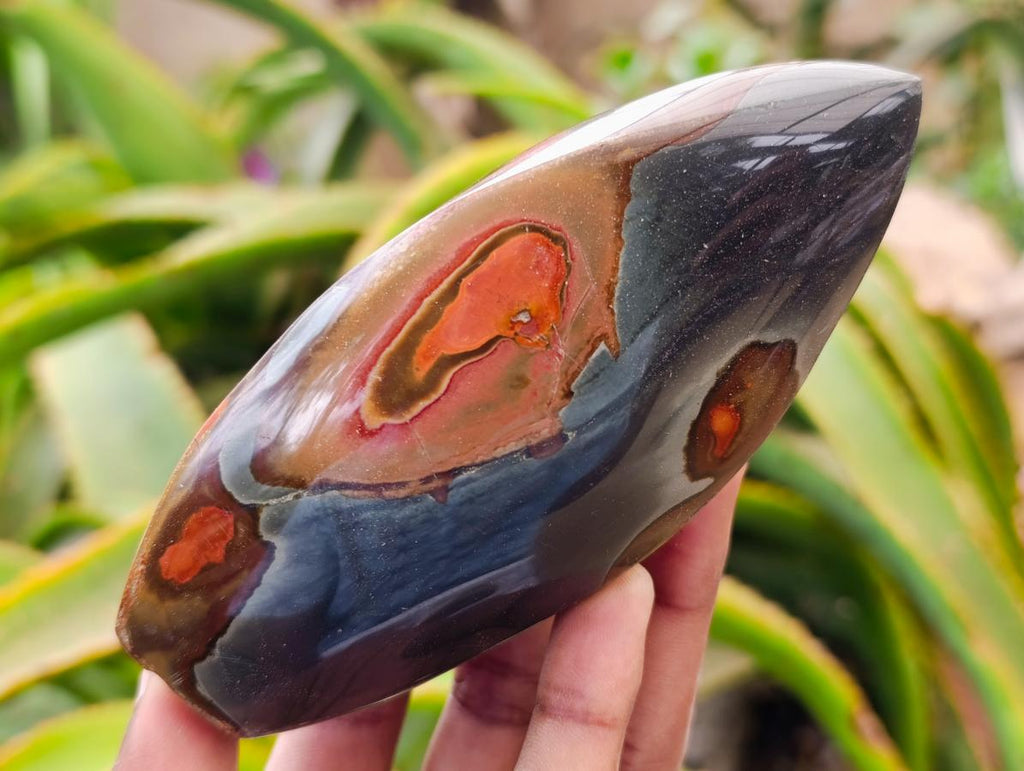 Polished Polychrome Jasper Flames x 6 From NW Coast, Madagascar