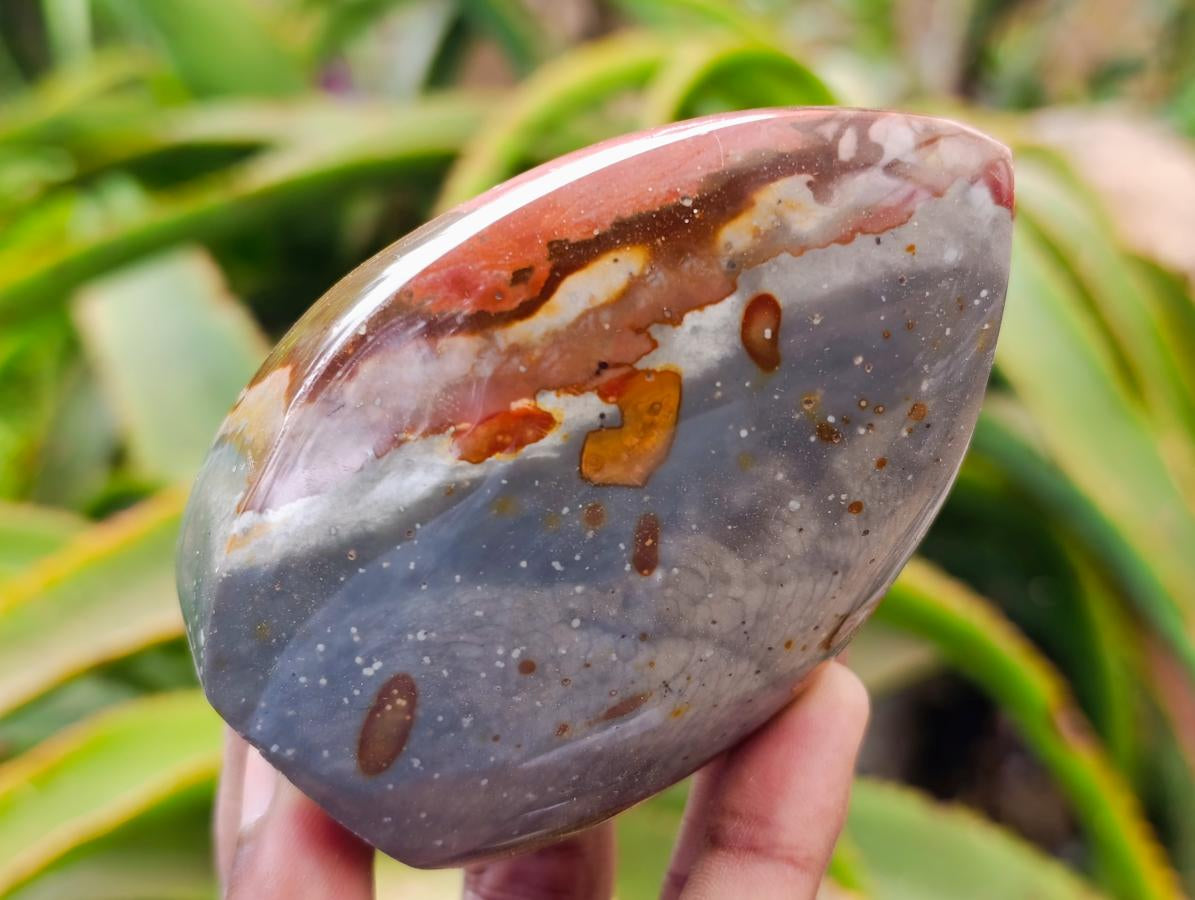 Polished Polychrome Jasper Flames x 6 From NW Coast, Madagascar