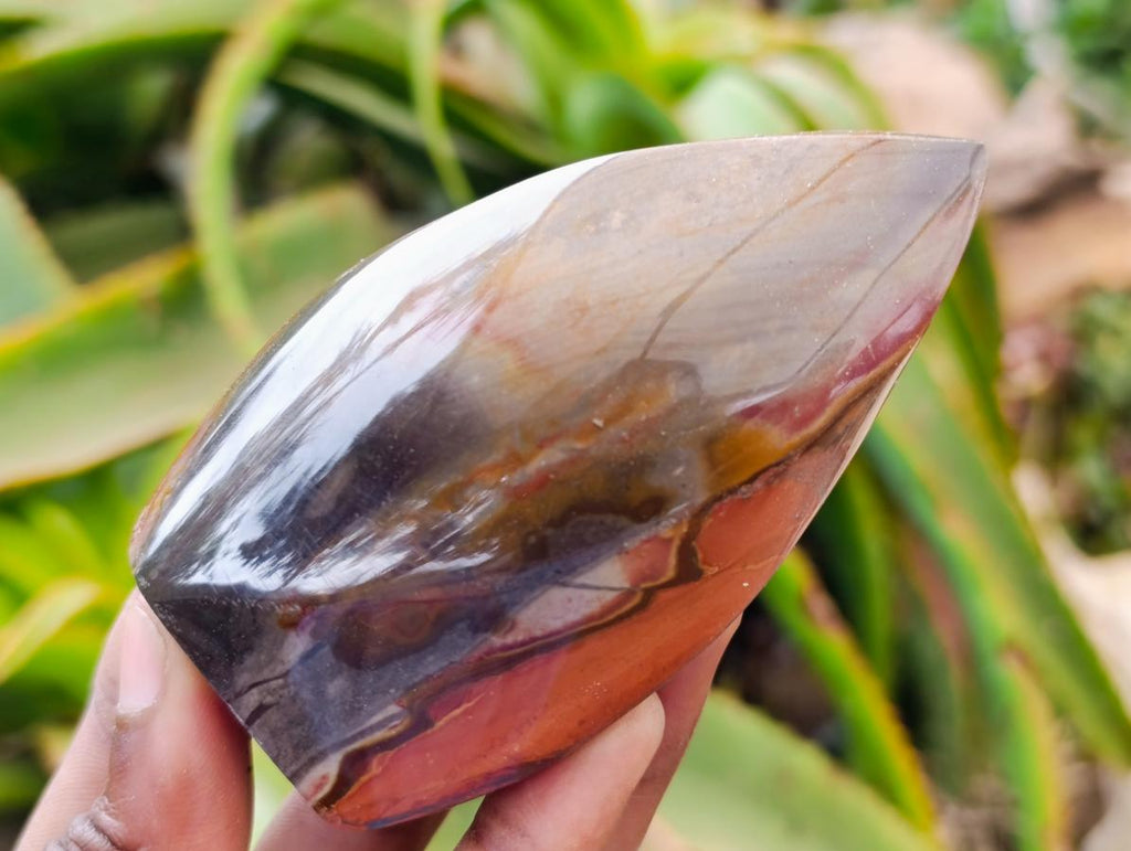 Polished Polychrome Jasper Flames x 6 From NW Coast, Madagascar