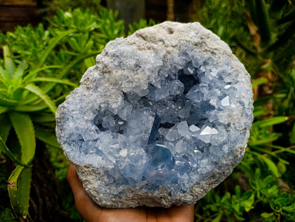 Natural Blue Celestite Specimen x 1 From Sakoany, Madagascar - Toprock Gemstones and Minerals 