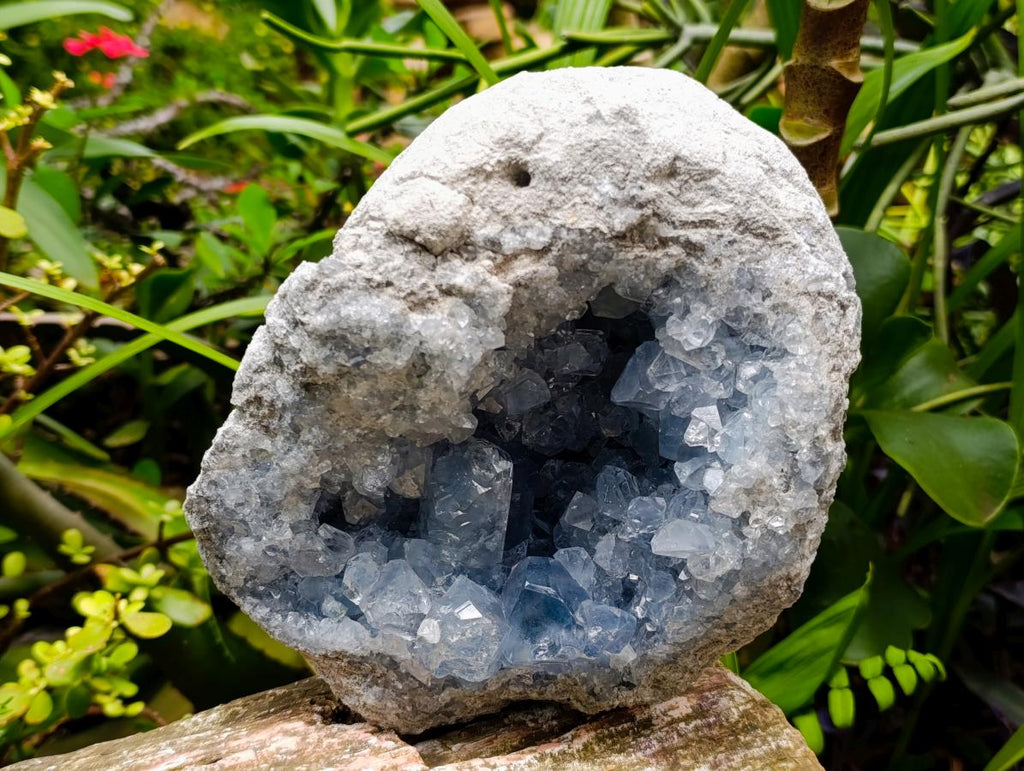 Natural Blue Celestite Specimen x 1 From Sakoany, Madagascar - Toprock Gemstones and Minerals 