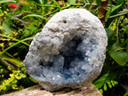 Natural Blue Celestite Specimen x 1 From Sakoany, Madagascar - Toprock Gemstones and Minerals 