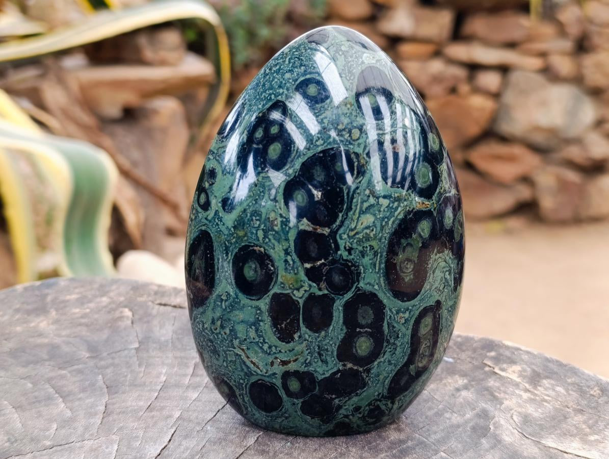 Polished Stromatolite Standing Free Forms x 2 From Katsepy, Madagascar