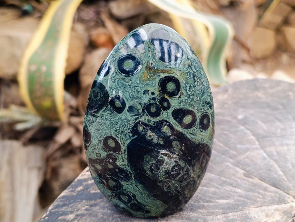 Polished Stromatolite Standing Free Forms x 2 From Katsepy, Madagascar