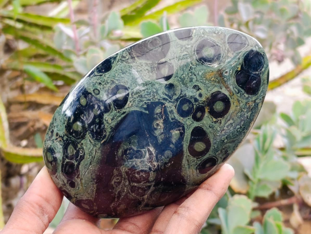 Polished Stromatolite Standing Free Forms x 2 From Katsepy, Madagascar