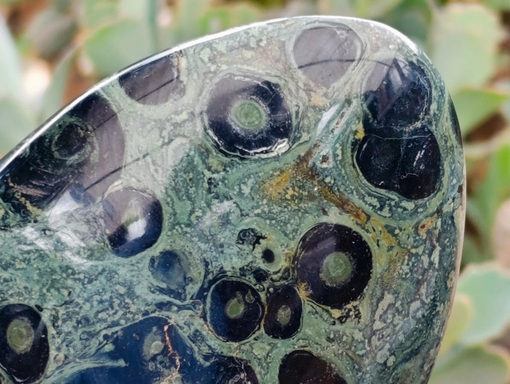 Polished Stromatolite Standing Free Forms x 2 From Katsepy, Madagascar