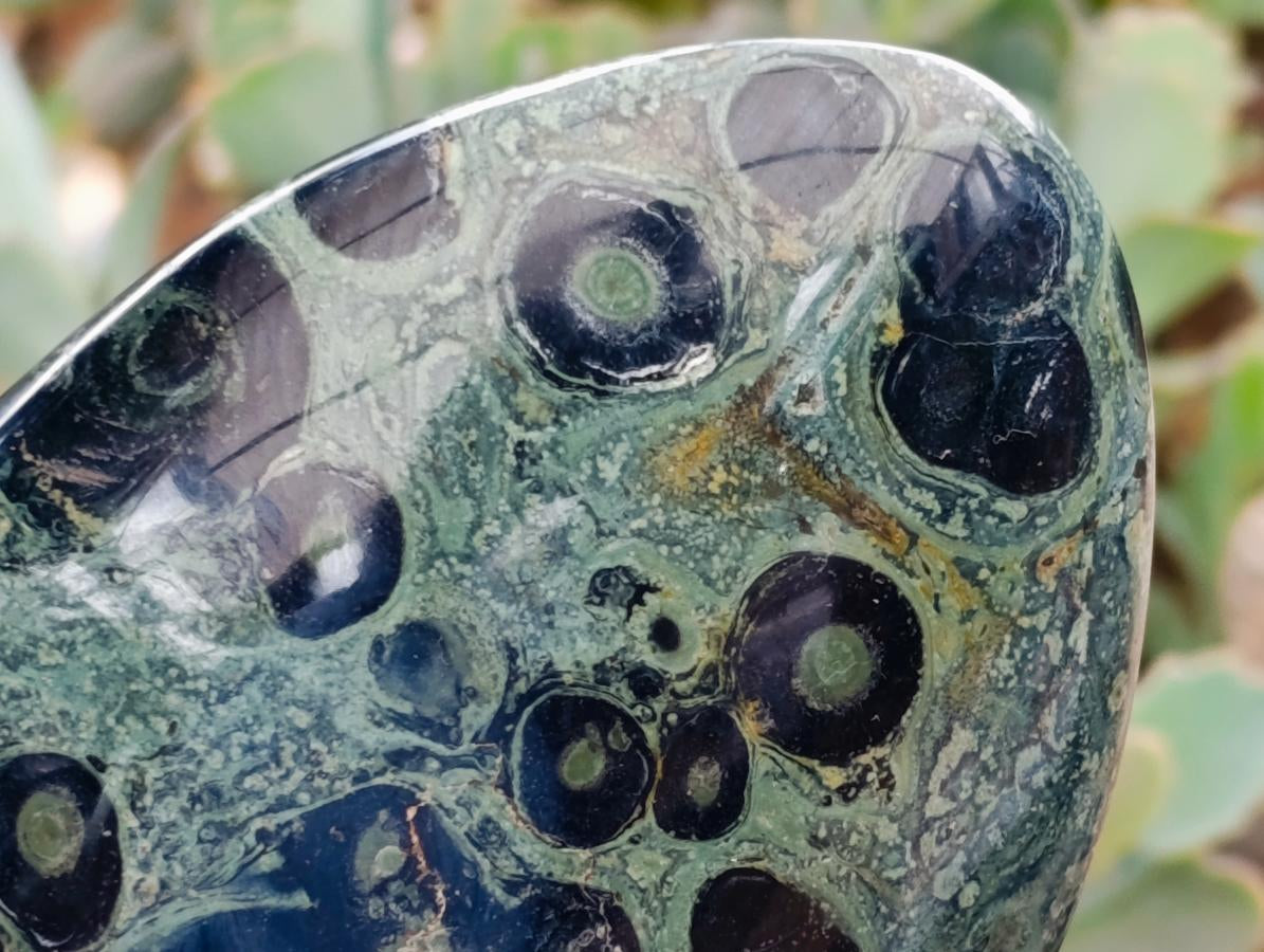 Polished Stromatolite Standing Free Forms x 2 From Katsepy, Madagascar