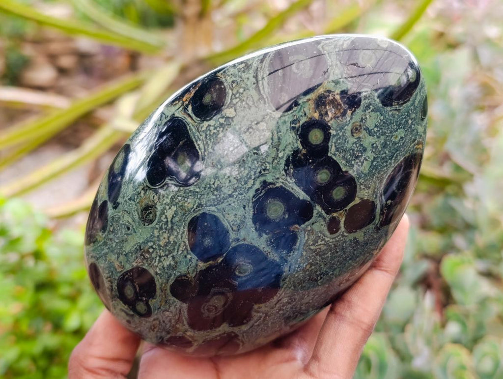 Polished Stromatolite Standing Free Forms x 2 From Katsepy, Madagascar