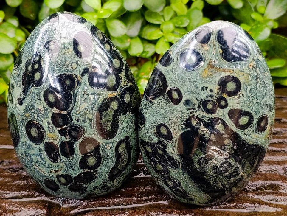Polished Stromatolite Standing Free Forms x 2 From Katsepy, Madagascar