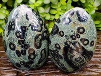 Polished Stromatolite Standing Free Forms x 2 From Katsepy, Madagascar