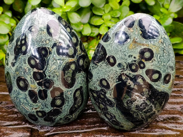 Polished Stromatolite Standing Free Forms x 2 From Katsepy, Madagascar