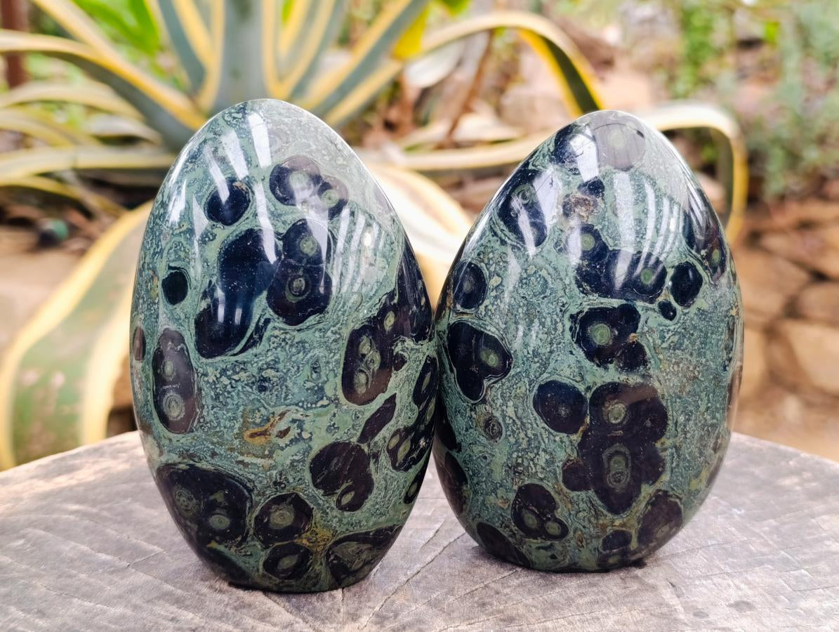 Polished Stromatolite Standing Free Forms x 2 From Katsepy, Madagascar