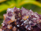 Natural Dark Purple Amethyst Quartz Crystal Plates x 12 From Boekenhouthoek, South Africa