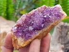Natural Dark Purple Amethyst Quartz Crystal Plates x 12 From Boekenhouthoek, South Africa