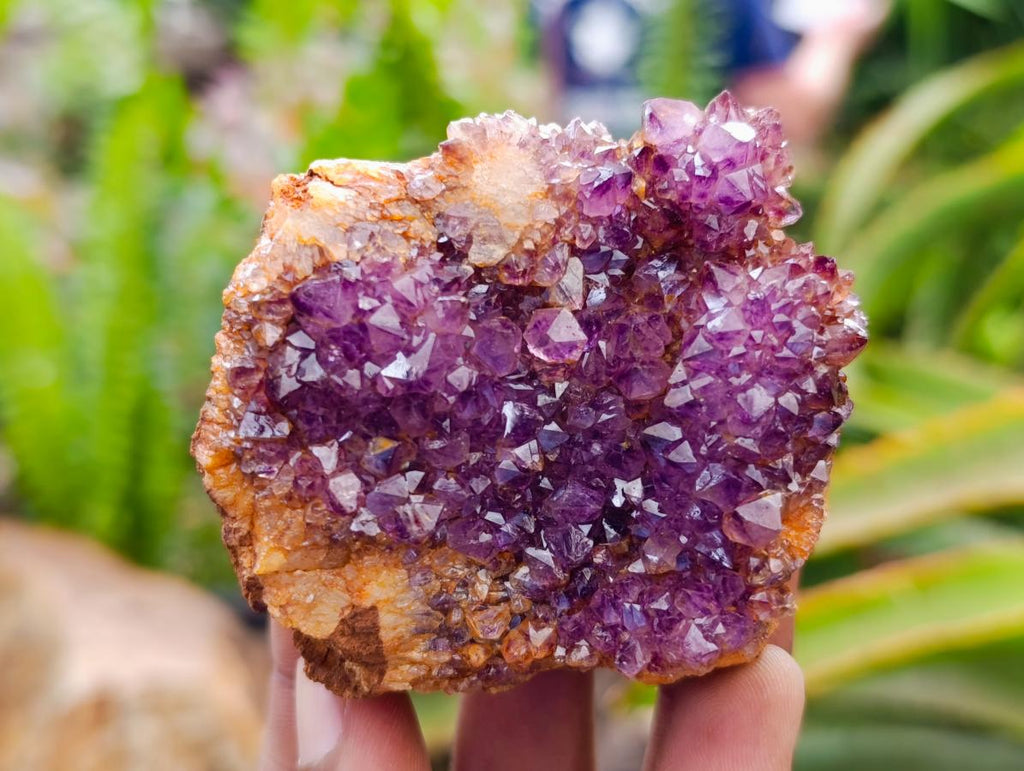 Natural Dark Purple Amethyst Quartz Crystal Plates x 12 From Boekenhouthoek, South Africa