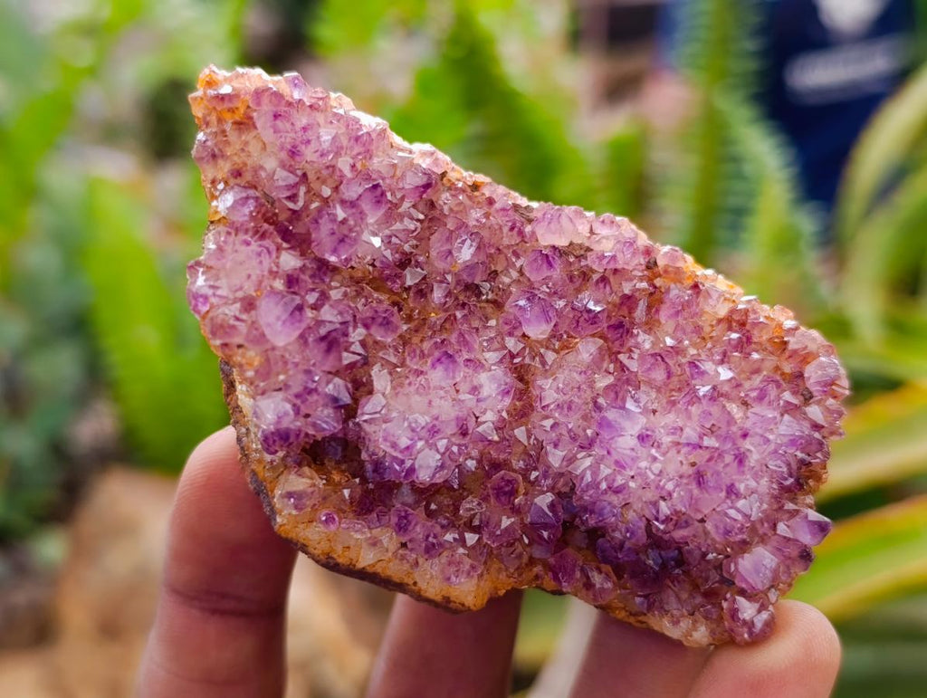 Natural Dark Purple Amethyst Quartz Crystal Plates x 12 From Boekenhouthoek, South Africa