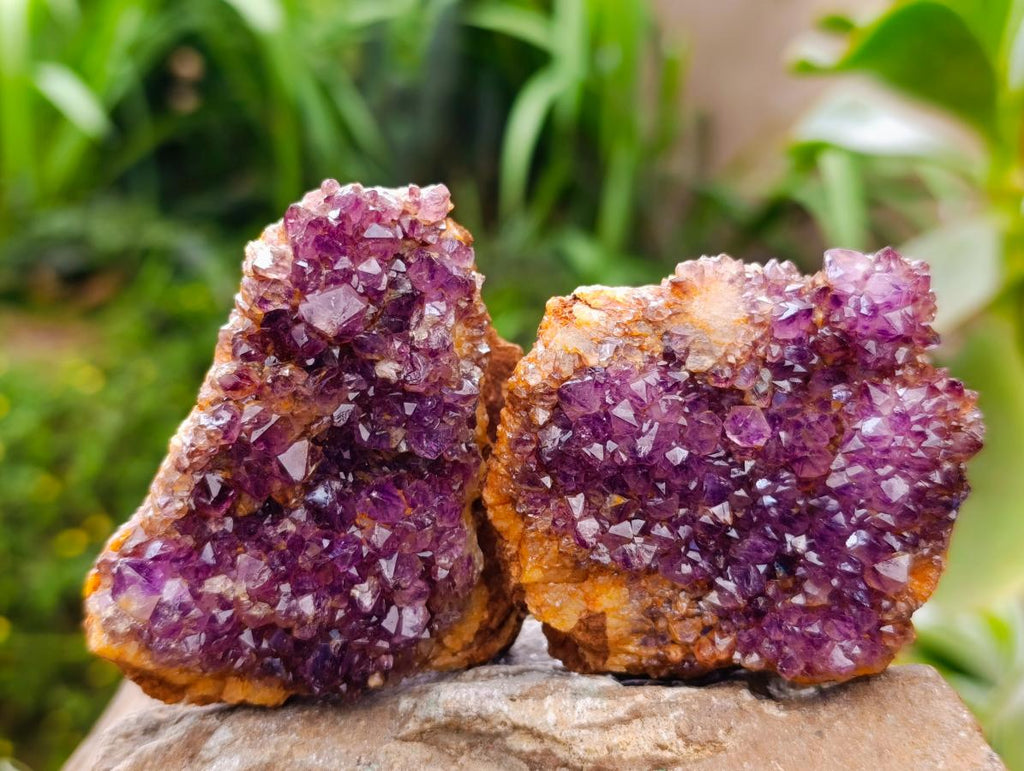 Natural Dark Purple Amethyst Quartz Crystal Plates x 12 From Boekenhouthoek, South Africa