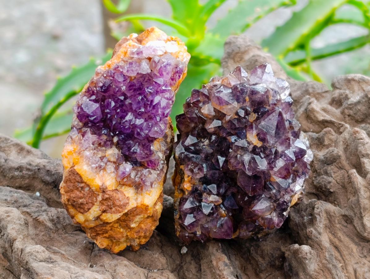 Natural Dark Purple Amethyst Quartz Crystal Plates x 12 From Boekenhouthoek, South Africa