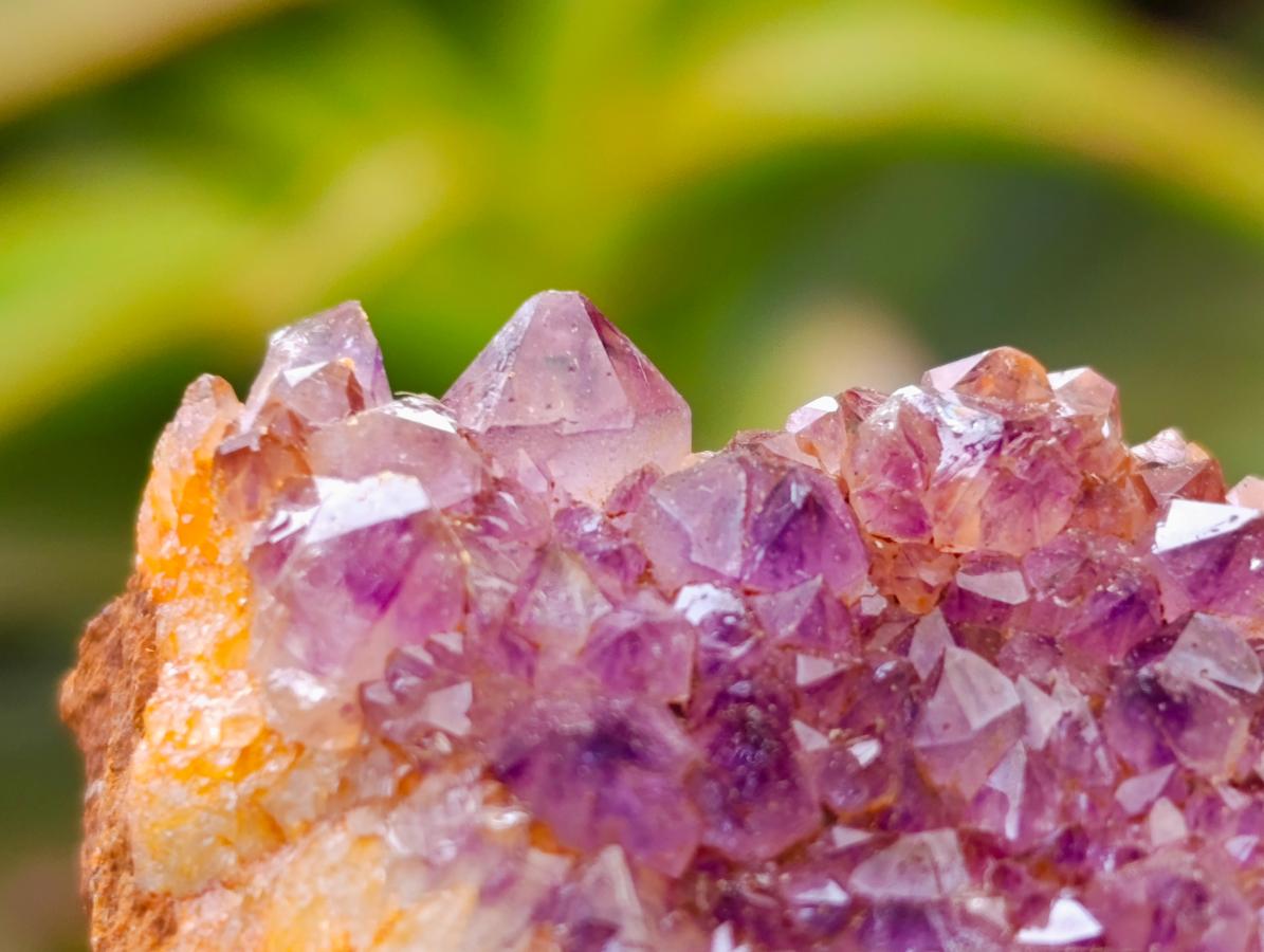 Natural Dark Purple Amethyst Quartz Crystal Plates x 12 From Boekenhouthoek, South Africa