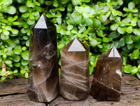 Polished Smokey Window Quartz Crystals x 3 From Madagascar