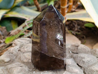 Polished Smokey Window Quartz Crystals x 3 From Madagascar