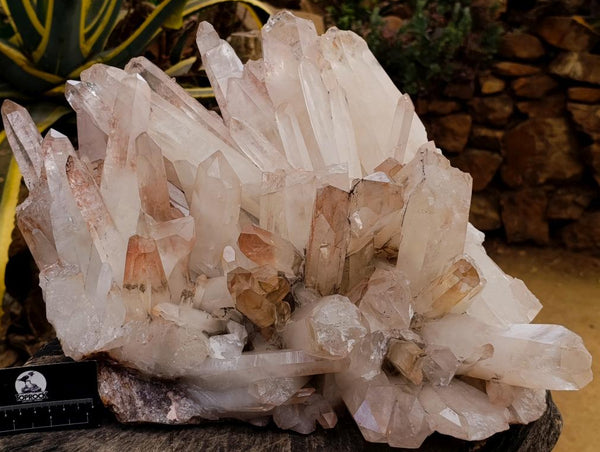 Natural XXL Clear Quartz Cluster x 1 From Ambatofinandrahana, Madagascar