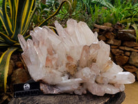 Natural XXL Clear Quartz Cluster x 1 From Ambatofinandrahana, Madagascar
