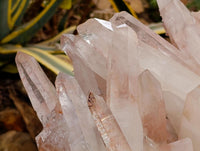 Natural XXL Clear Quartz Cluster x 1 From Ambatofinandrahana, Madagascar