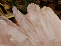 Natural XXL Clear Quartz Cluster x 1 From Ambatofinandrahana, Madagascar