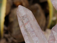 Natural XXL Clear Quartz Cluster x 1 From Ambatofinandrahana, Madagascar