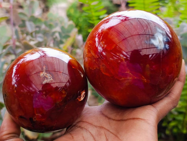 Polished Carnelian Agate Gemstone Spheres x 2 From Madagascar