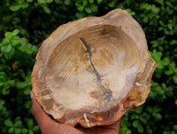 Polished Petrified Wood Bowl x 1 From Mahajanga, Madagascar