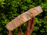 Polished Petrified Wood Bowl x 1 From Mahajanga, Madagascar