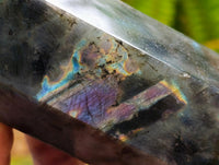 Polished Labradorite Standing Display Crystals x 3 From Tulear, Madagascar