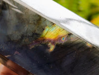 Polished Labradorite Standing Display Crystals x 3 From Tulear, Madagascar