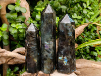 Polished Labradorite Standing Display Crystals x 3 From Tulear, Madagascar