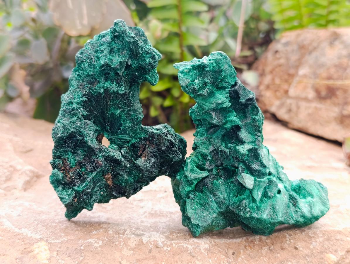 Natural Silky Malachite Specimens x 6 From Kasompe, Congo