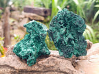 Natural Silky Malachite Specimens x 6 From Kasompe, Congo - Toprock Gemstones and Minerals 