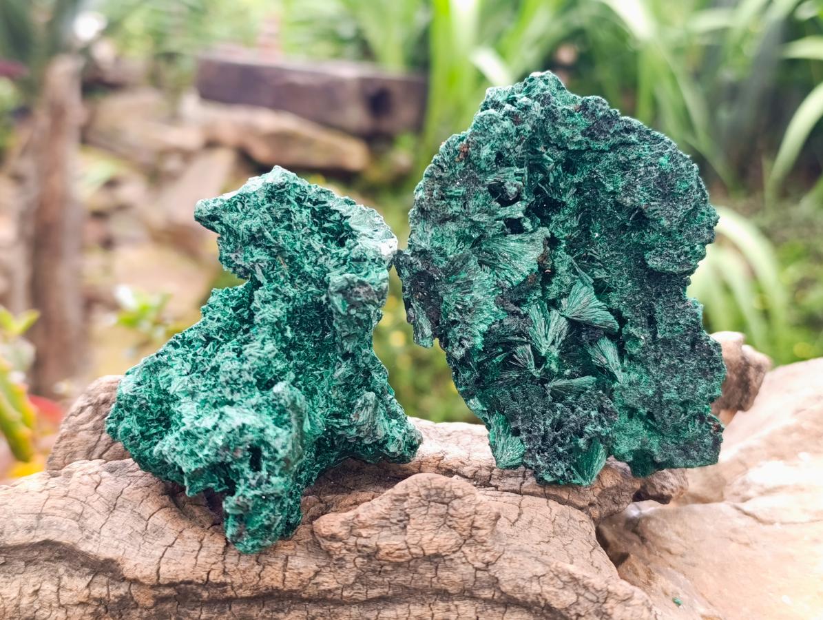 Natural Silky Malachite Specimens x 6 From Kasompe, Congo