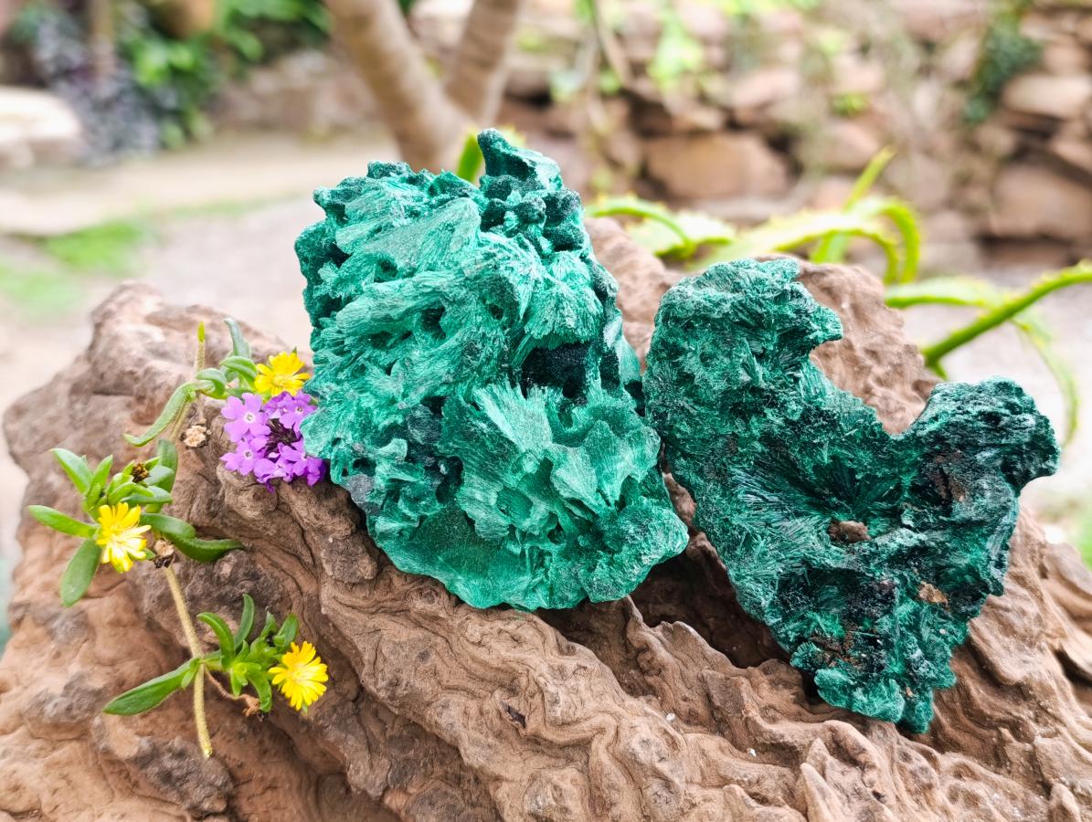 Natural Silky Malachite Specimens x 6 From Kasompe, Congo - Toprock Gemstones and Minerals 