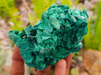 Natural Silky Malachite Specimens x 6 From Kasompe, Congo - Toprock Gemstones and Minerals 