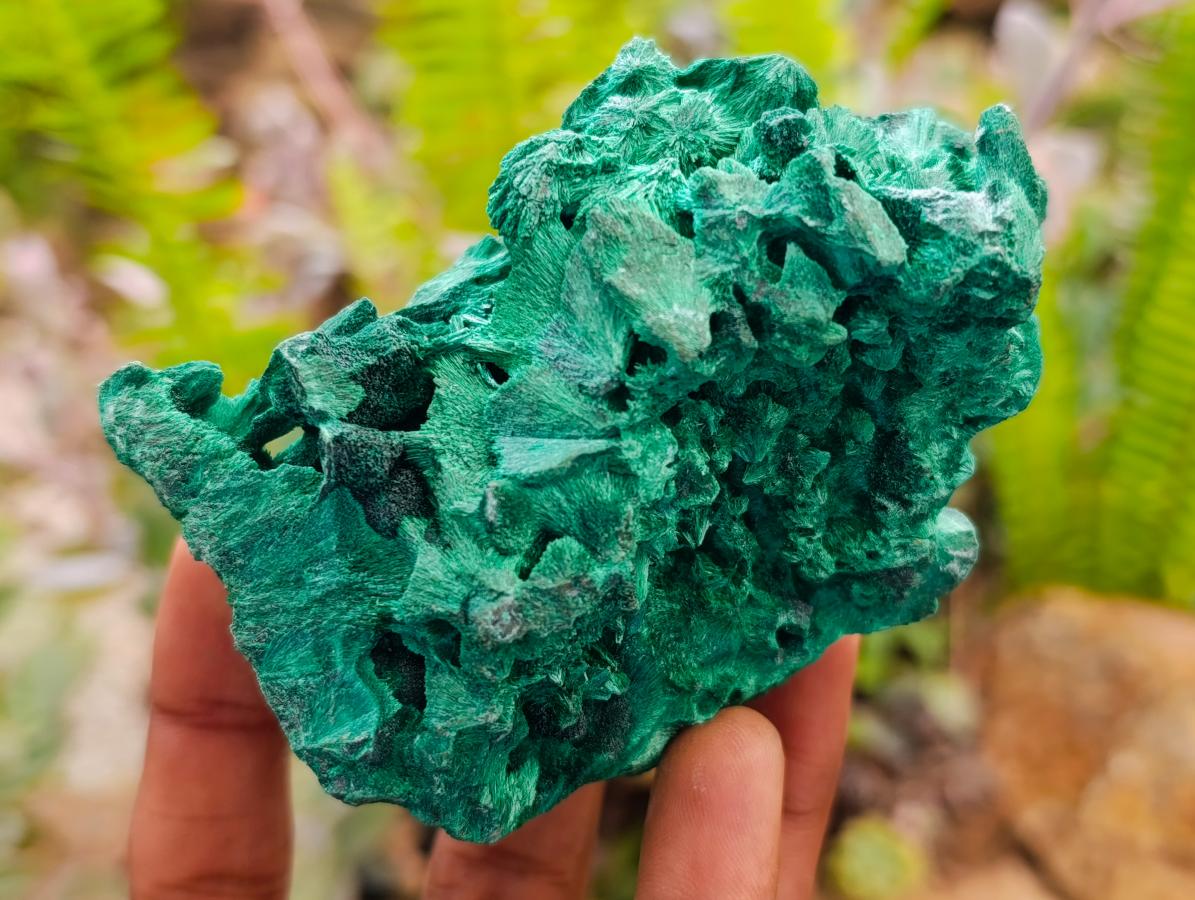 Natural Silky Malachite Specimens x 6 From Kasompe, Congo