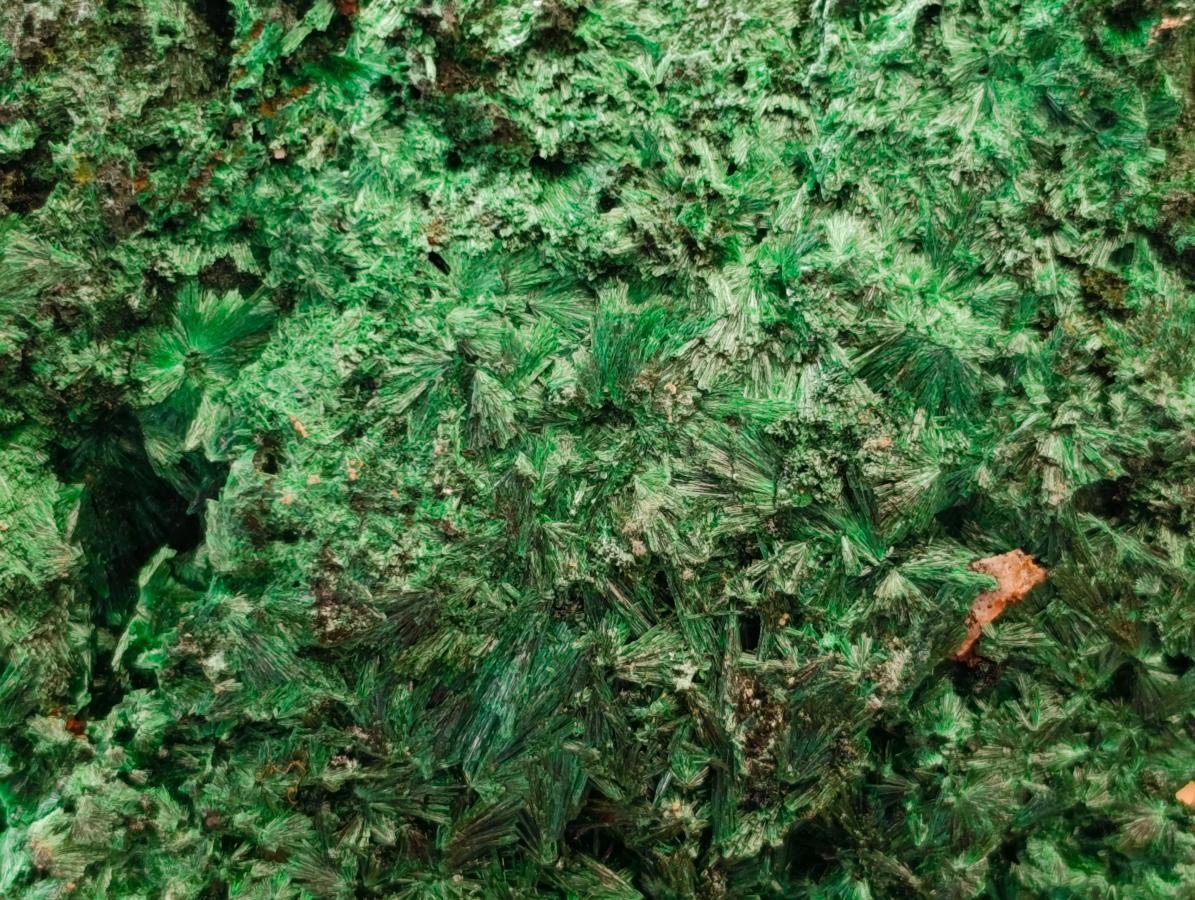 Natural Silky Malachite Specimens x 6 From Kasompe, Congo - Toprock Gemstones and Minerals 