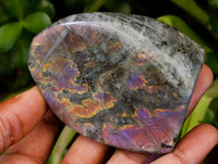 Polished Rare Purple Sunset Flash Labradorite Standing Free Forms x 12 From Tulear, Madagascar